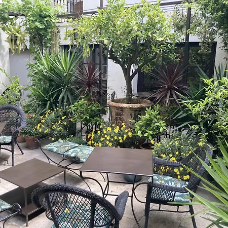La Maison Des Augustins 4 Stars Et Fitness Avignone