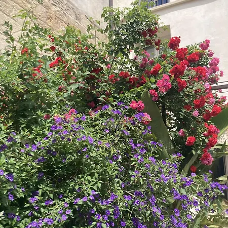 La Maison Des Augustins 4 Stars Et Fitness Avignone