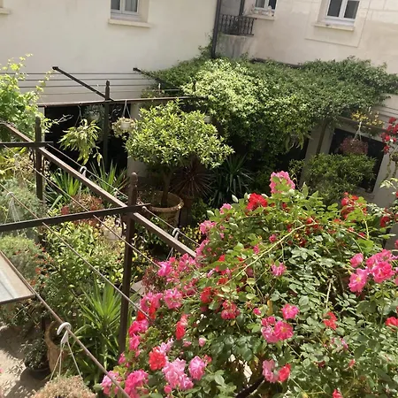Bed & Breakfast La Maison Des Augustins 4 Stars Et Fitness Avignone