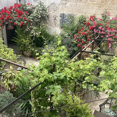 La Maison Des Augustins 4 Stars Et Fitness Bed & Breakfast Avignone