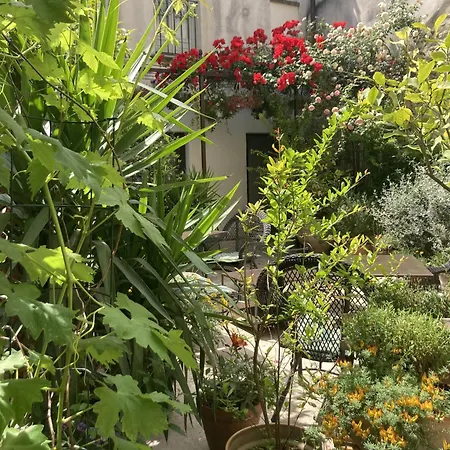La Maison Des Augustins 4 Stars Et Fitness Bed & Breakfast Avignon
